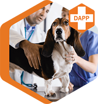 UAT-diseases-common-canine