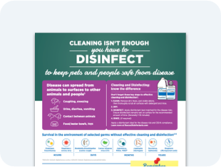 cleaning-procedures-graphic