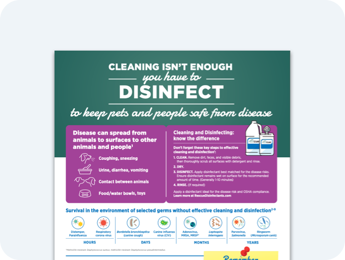 cleaning-procedures-graphic