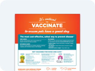 vaccination-protocols-graphic